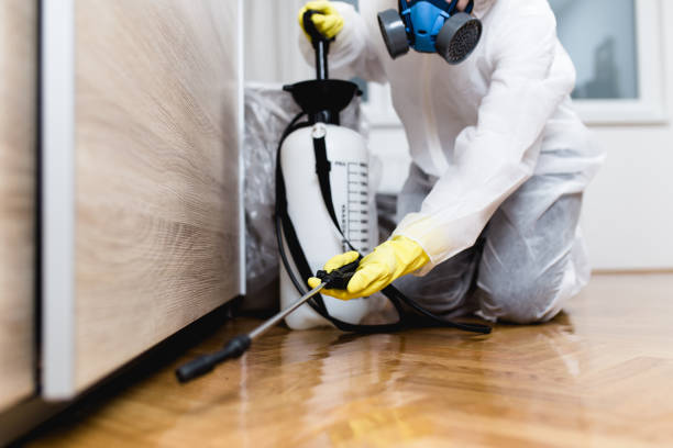 Best Best Pest Control Companies  in Lewisville, NC