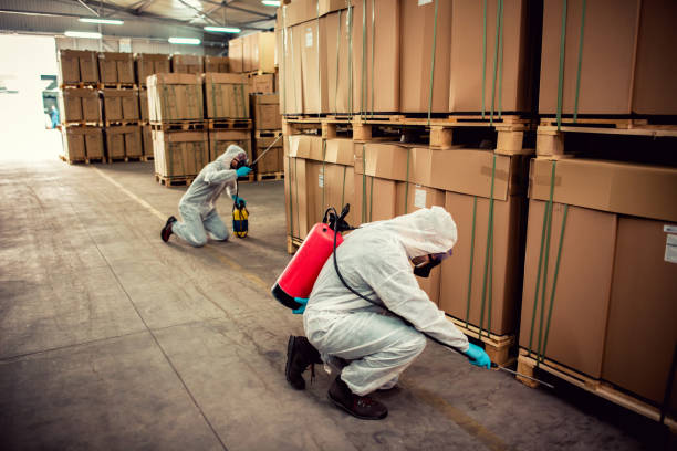 Wildlife Control Services in Lewisville, NC