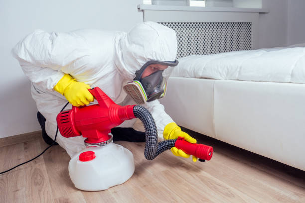 Best Cockroach Control Services  in Lewisville, NC