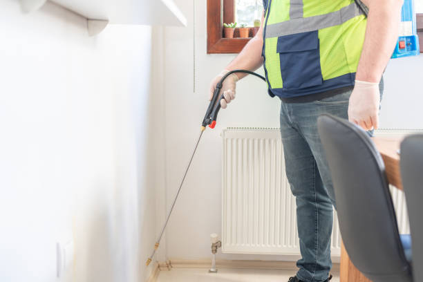 Best Termite Control Services  in Lewisville, NC