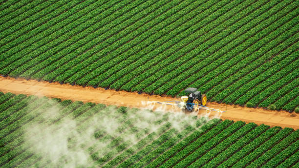 Pest Control Cost in Lewisville, NC