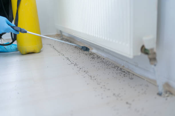 Best Bed Bug Extermination  in Lewisville, NC