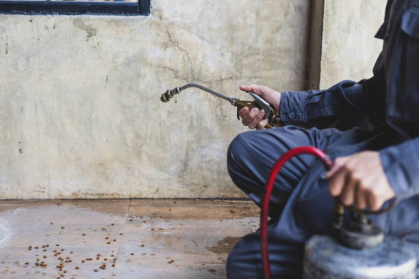 Wasp Removal Services in Lewisville, NC